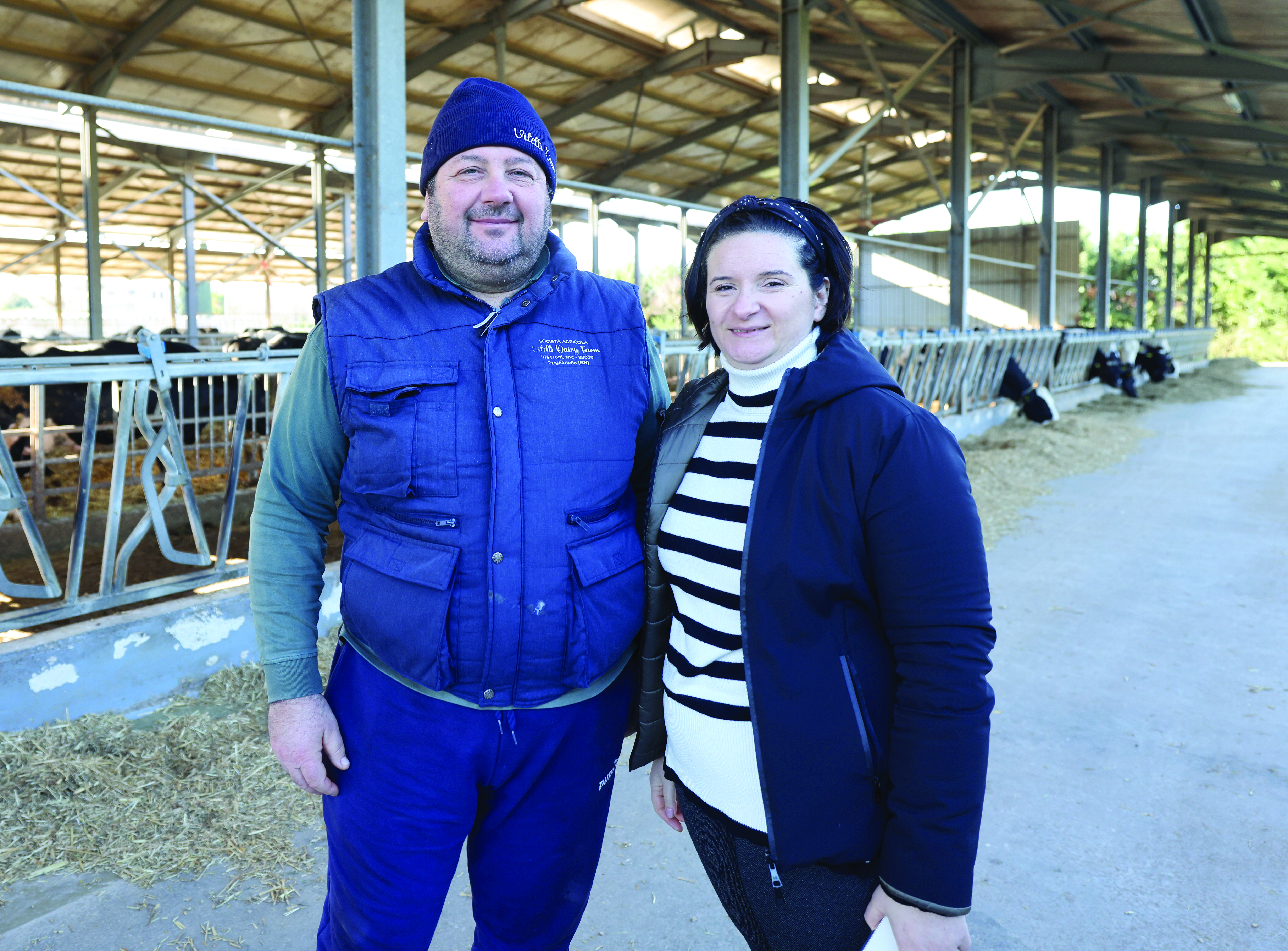 Con SenseHub® Dairy più efficienza e meno stress